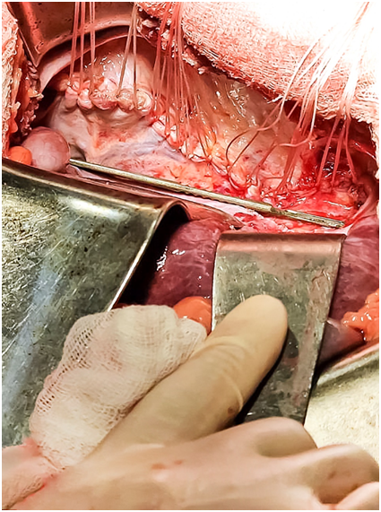 рис 5 Шевченко.png