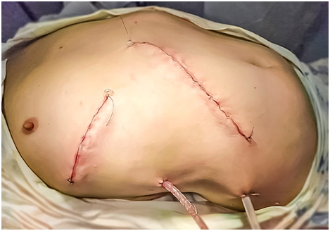 рис 6 Шевченко.png